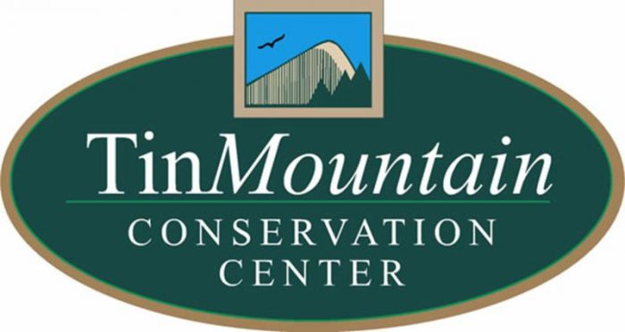 Tin Mountain Logo