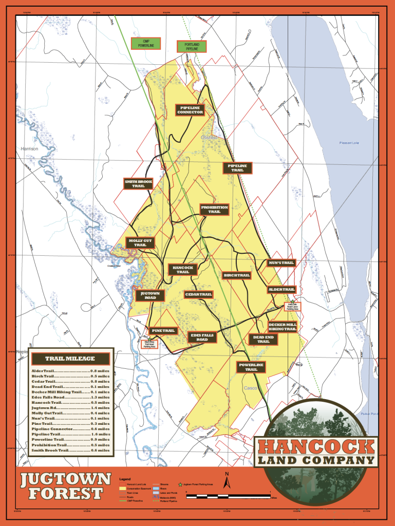 Jugtown Forest Map