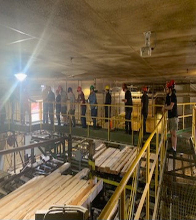 training participants on a mill tour